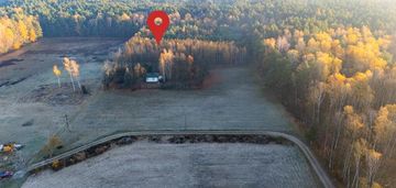 4 hektary wolności pod warszawą, ostrowik