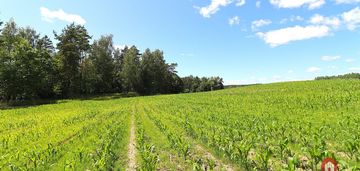 Działka budowlana na mazurach rożyńsk wielki