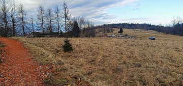 Widokowa działka na obrzeżach wałbrzycha.