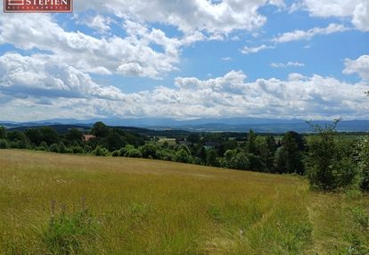 Dom i zabudowa gospodarcza na działce 4,6 ha