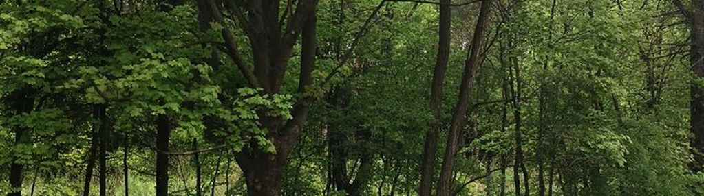 Działka pod stacje paliw lub usługi komercyjne