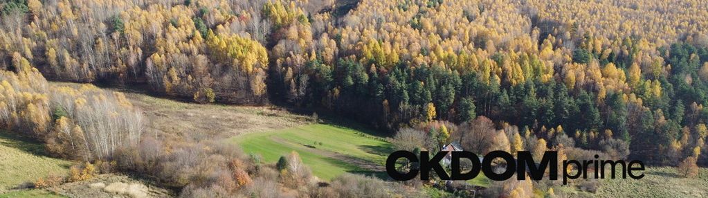Działka inwestycyjna cisów 22 500 m²