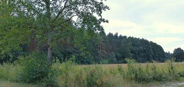 Wydane warunki zabudowy pod siedlisko - małomin