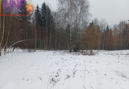 Do sprzedania działka przydonica 7ar nad jeziorem