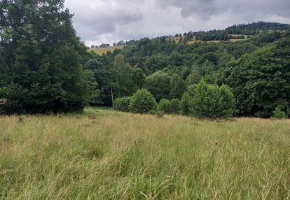 Widokowa działka otoczona lasem - brak sąsiedztwa