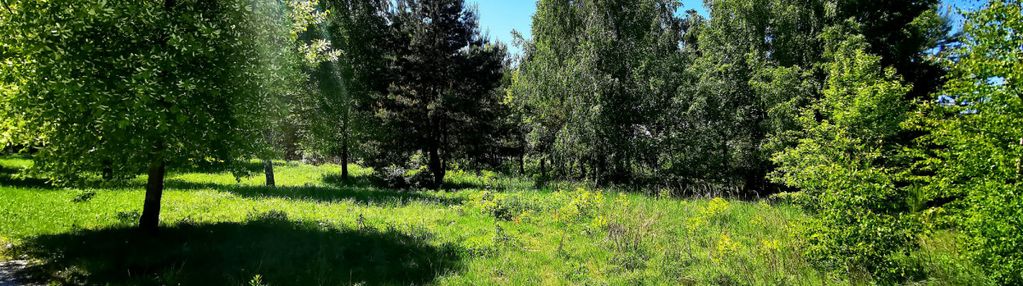 Działka rolna z możliwością zabudowy, kołacin