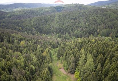 Działka rolna w krzeszowie