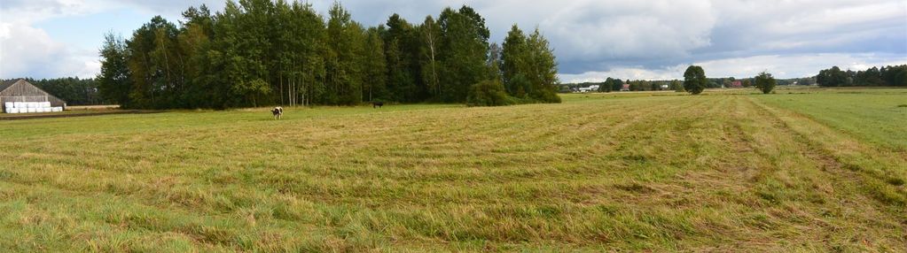 Działka 14800 m2, antonielów, gm. łopuszno