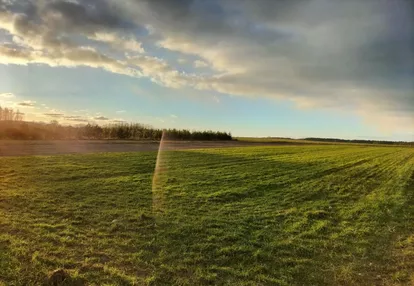 Działka na sprzedaż 4000m2