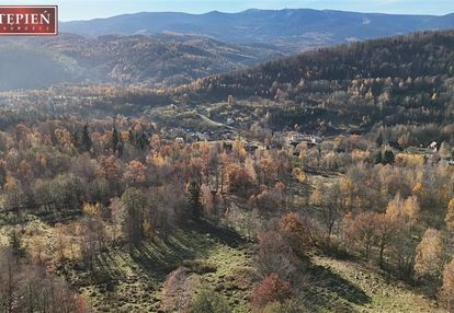 Rola z cudownym widokiem na całe pasmo karkonoszy