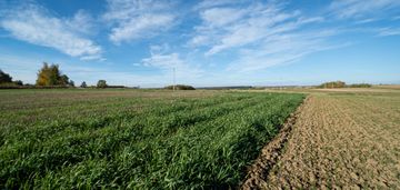 Działka budowlana | 1,20 ha | gmina iwanowice