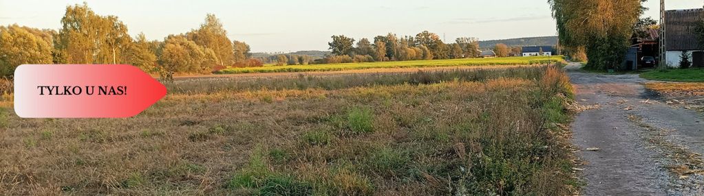 Tylko u nas !!! spokojna i zielona okolica