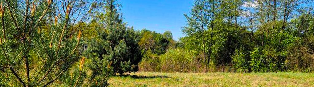 Działka siedliskowa z wz nad rzeką narew