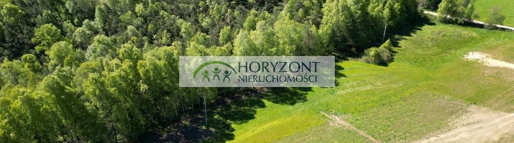 Kamień- kompleks działek przy lesie