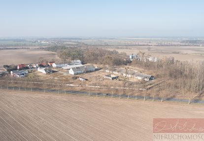 Grunty orne przy drodze 187 i obwodnicy szamotuł