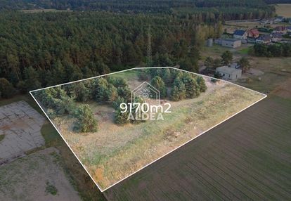 Spokojna oaza blisko bydgoszczy - działka 9170 m²