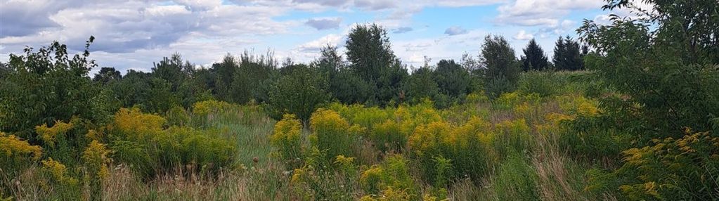 Działka na sprzedaż w ługach ujskich, gmina ujście