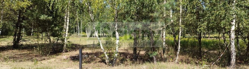 Błonie gmina prażmów - działka pod lasem