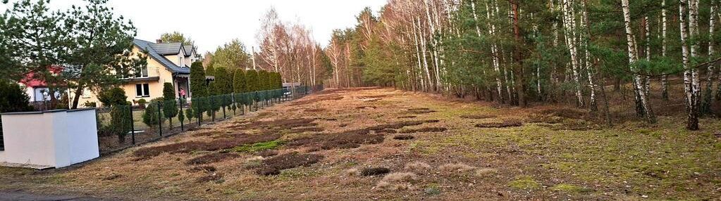 Działka z własnym lasem, mpzp