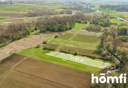 Dostęp do rzeki| zielona rozwijająca się okolica