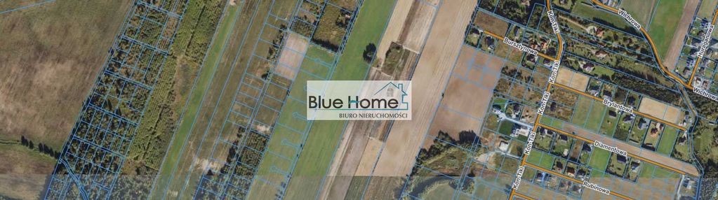 Interesująca oferta gruntu z linią lasu