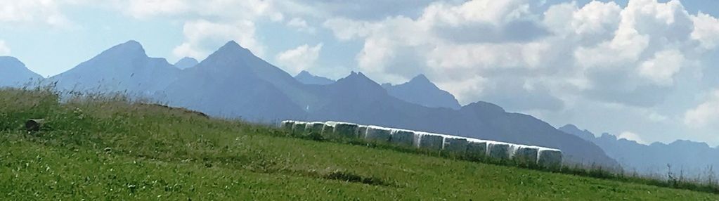 Działka  w rzepiskach z widokiem na tatry