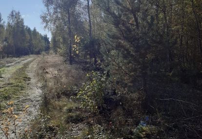 Działka rolna 1,5 ha 60 min od warszawy