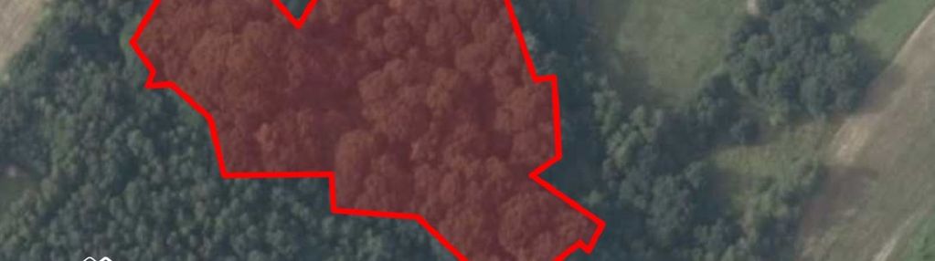Działka leśna pod rekreacje, eventy - ok. kalwarii