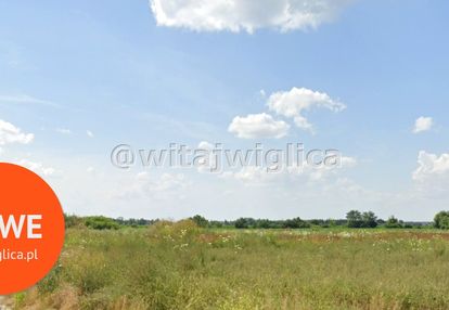 Usługi/handel/pradukcja/biura/edukacja/medycyjna