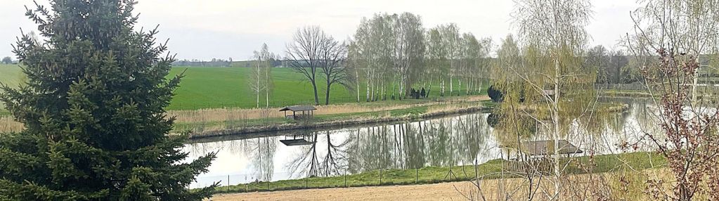 Twoje miejsce na ziemi?