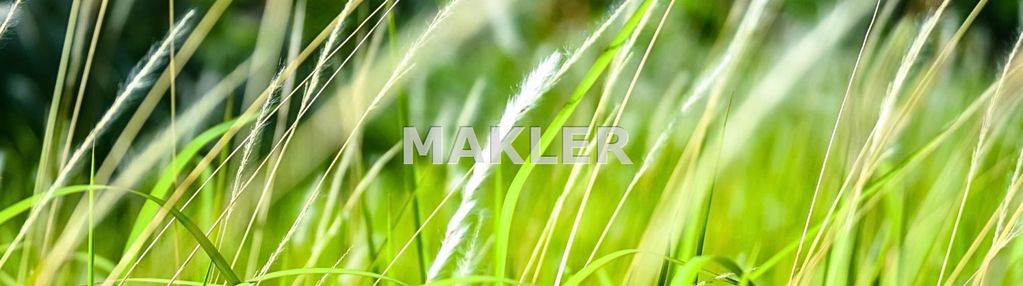 Działka z wz w rynarzewie