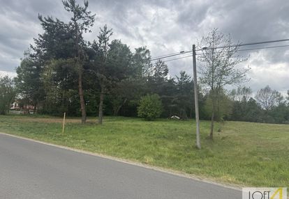 Duża działka z wz - otulona lasem