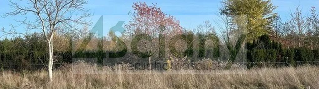 Działki z wodą - rusiec