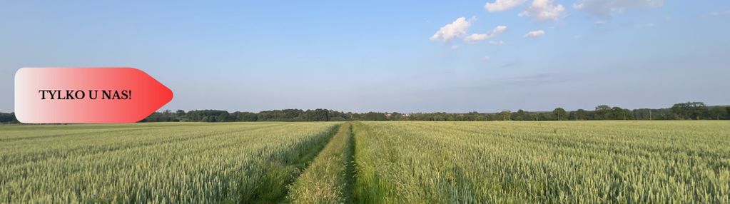 Piękne działki budowlane pod bolesławcem! kruszyn