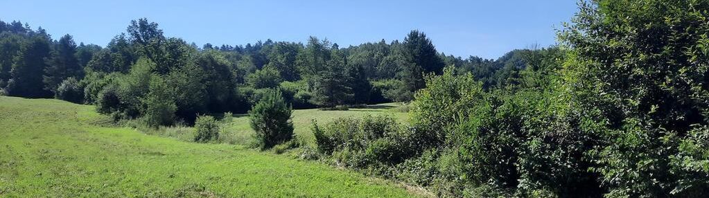 Działki pod lasem makowa gmina fredropol