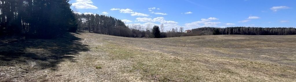 Biesówko - działka rolna