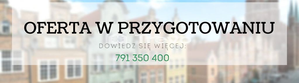Widok na motławę - 550m od mostu stągiewnego