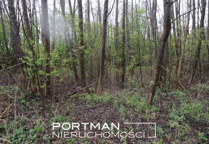 Działka budowlana lipowo