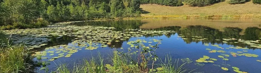 Suwalszczyzna, park krajobraz., 2 jez., budowlana.