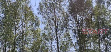 Działka rod siekierki 630 m2 - 95000 pln