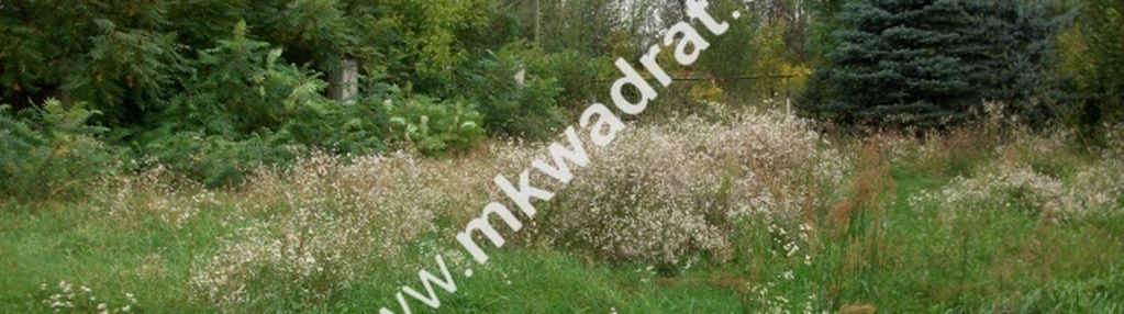 Działka kozery#ciekawa lokalizacja