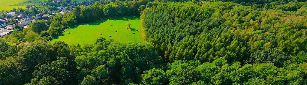 Las i łąka na sprzedaż | bełsznica