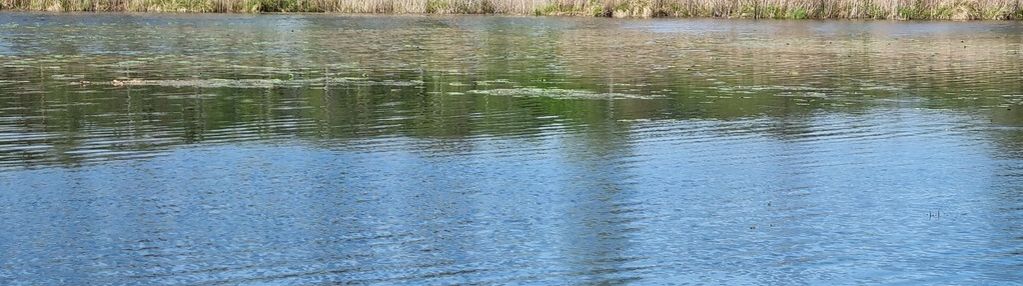 Działka z linią brzegową 66 m jeziora dąbiel