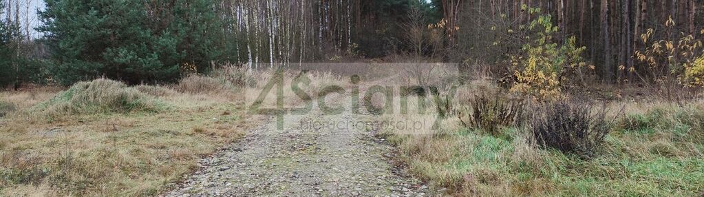 Duża działka w lesie - gmina puszcza mariańska