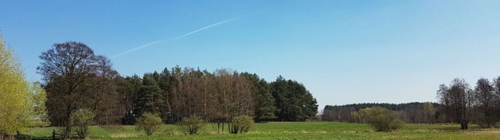 Idealna działka dla ceniących spokój