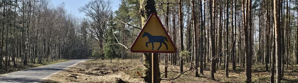 Budowlana działka z wz w mogilnie gm. warta
