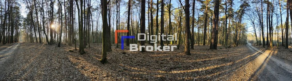 Domek na pięknej działce na sprzedaż / całoroczny