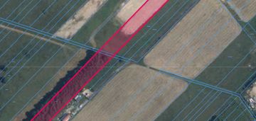 Działka 6000 m² – żabokliki