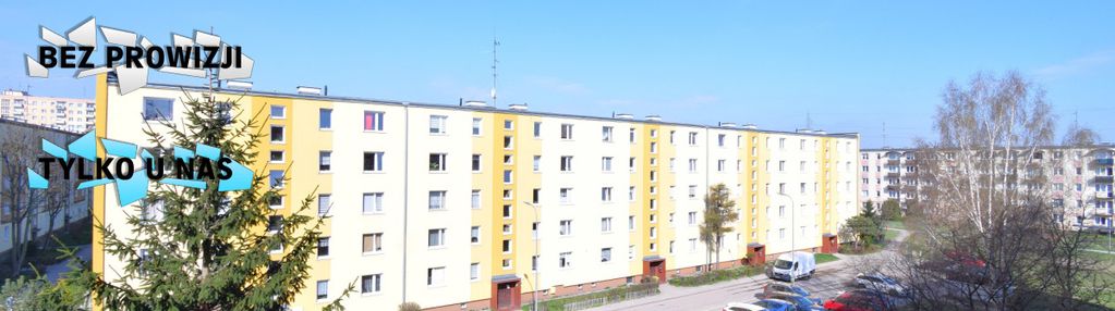 | czysta kw | 0% prozwizji | okolica |