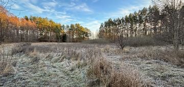 Duża działka w otoczeniu jezior i lasów